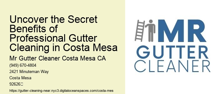 Uncover the Secret Benefits of Professional Gutter Cleaning in Costa Mesa