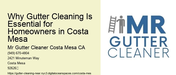Why Gutter Cleaning Is Essential for Homeowners in Costa Mesa 