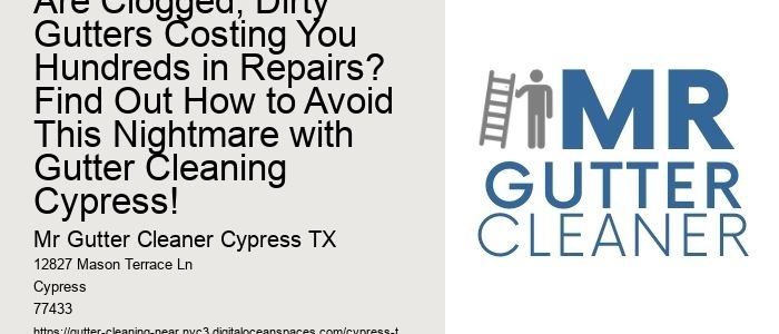 Are Clogged, Dirty Gutters Costing You Hundreds in Repairs? Find Out How to Avoid This Nightmare with Gutter Cleaning Cypress!