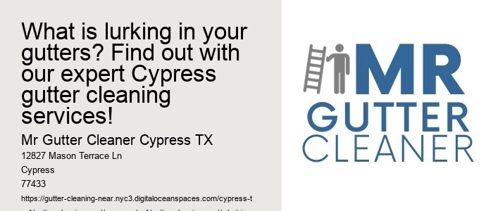 What is lurking in your gutters? Find out with our expert Cypress gutter cleaning services!