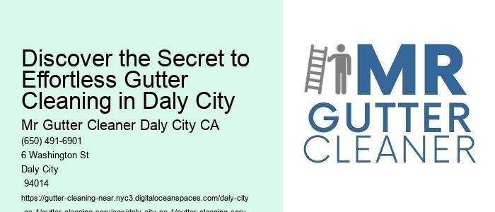 Discover the Secret to Effortless Gutter Cleaning in Daly City