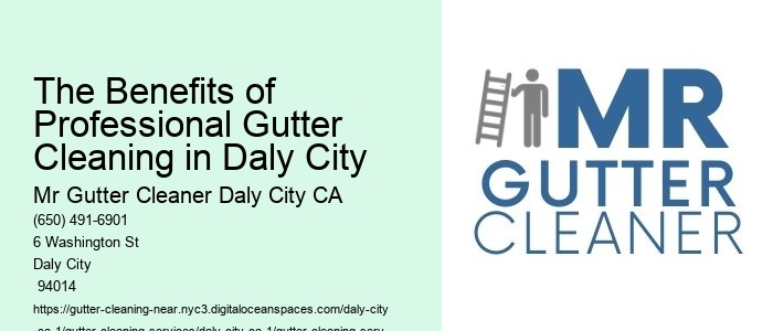 The Benefits of Professional Gutter Cleaning in Daly City 