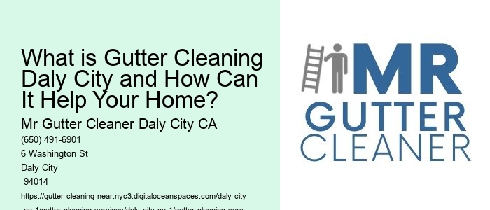 What is Gutter Cleaning Daly City and How Can It Help Your Home? 