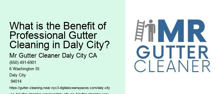 What is the Benefit of Professional Gutter Cleaning in Daly City?