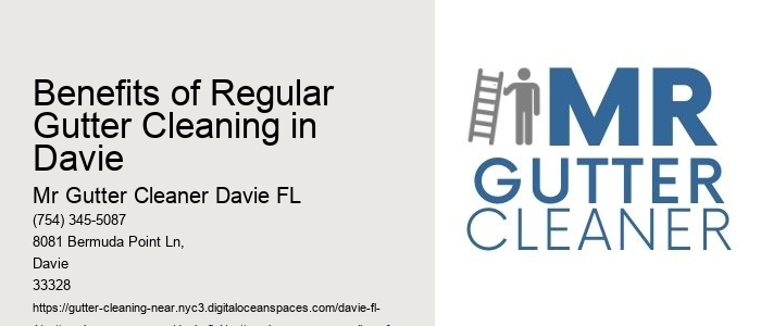 Benefits of Regular Gutter Cleaning in Davie 