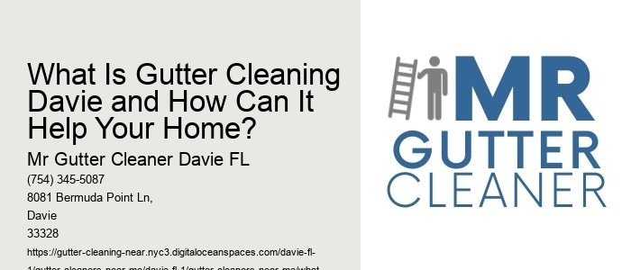 What Is Gutter Cleaning Davie and How Can It Help Your Home? 