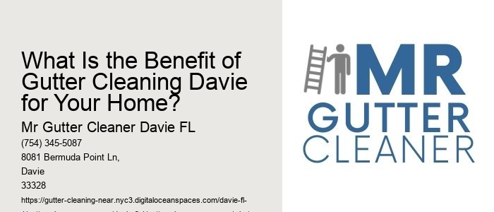 What Is the Benefit of Gutter Cleaning Davie for Your Home?