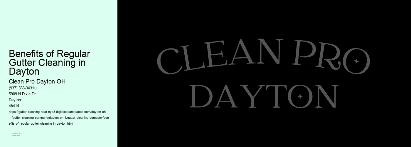 Benefits of Regular Gutter Cleaning in Dayton 