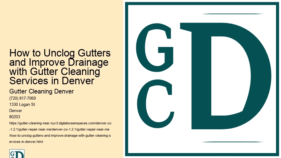 How to Unclog Gutters and Improve Drainage with Gutter Cleaning Services in Denver 