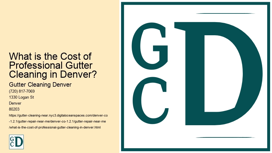 What is the Cost of Professional Gutter Cleaning in Denver?
