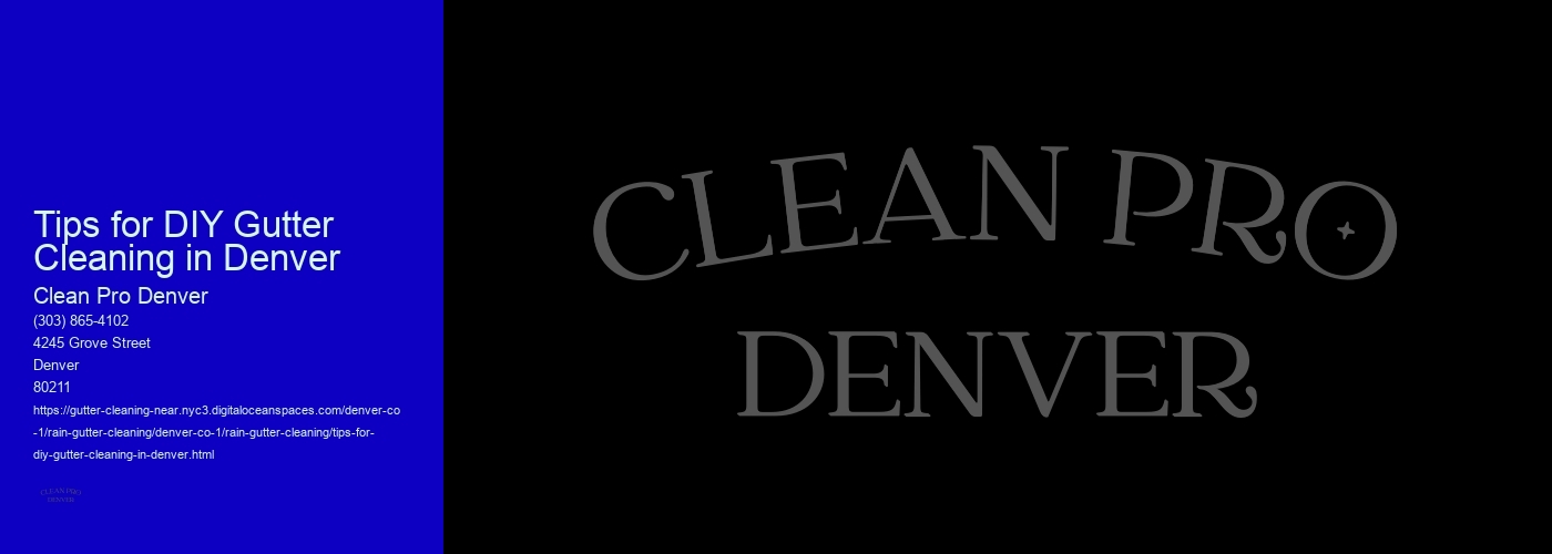 Tips for DIY Gutter Cleaning in Denver 