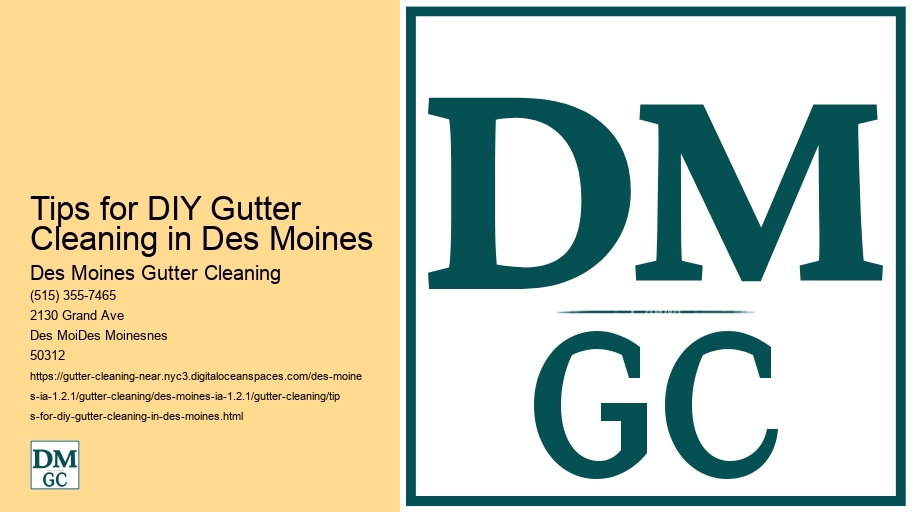 Tips for DIY Gutter Cleaning in Des Moines 