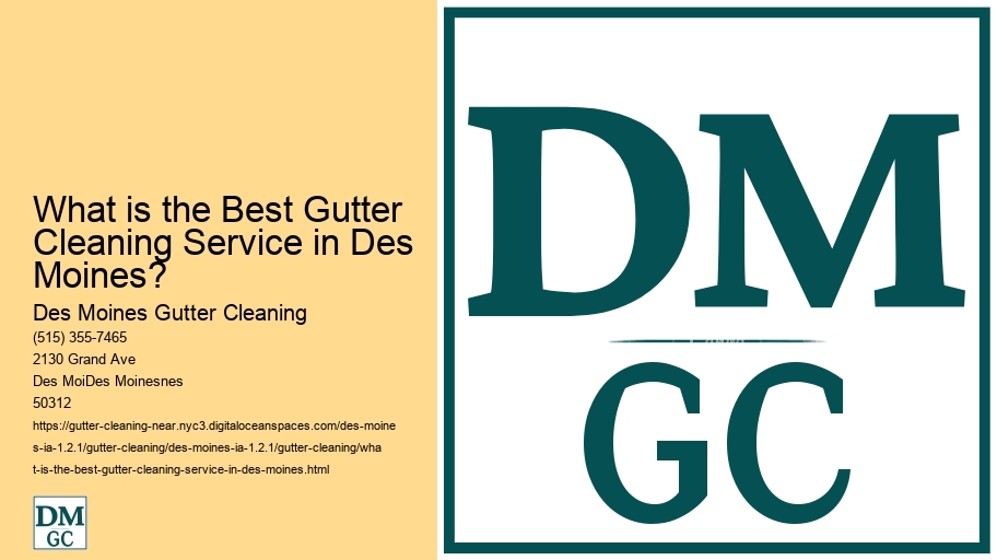 What is the Best Gutter Cleaning Service in Des Moines?