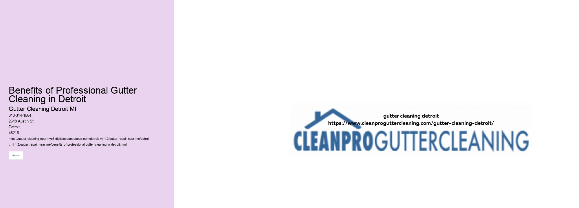 Benefits of Professional Gutter Cleaning in Detroit 