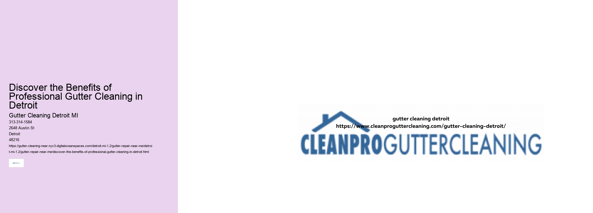 Discover the Benefits of Professional Gutter Cleaning in Detroit 