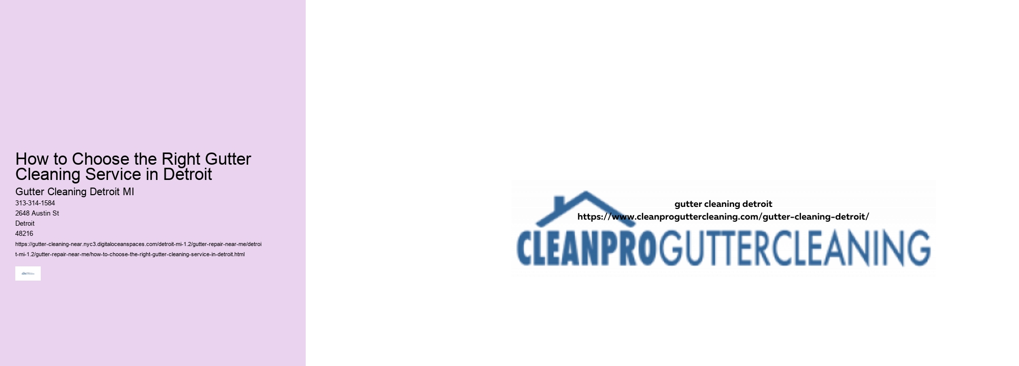 How to Choose the Right Gutter Cleaning Service in Detroit 