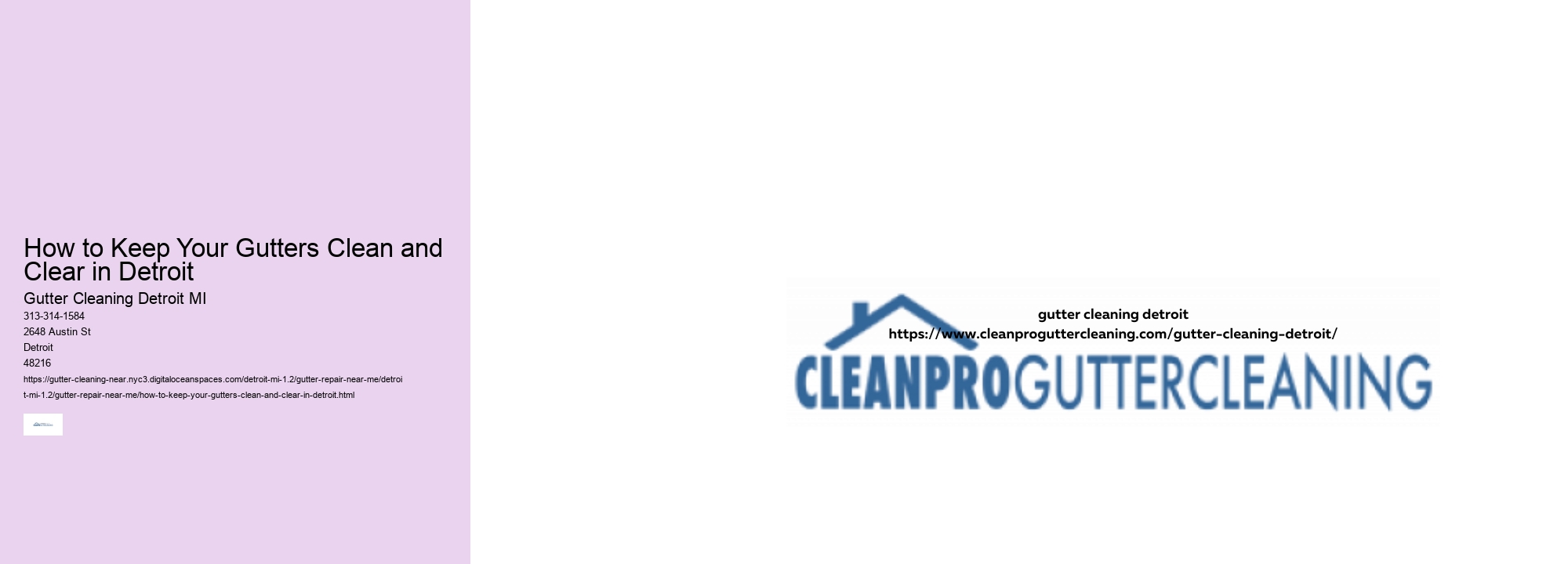 How to Keep Your Gutters Clean and Clear in Detroit