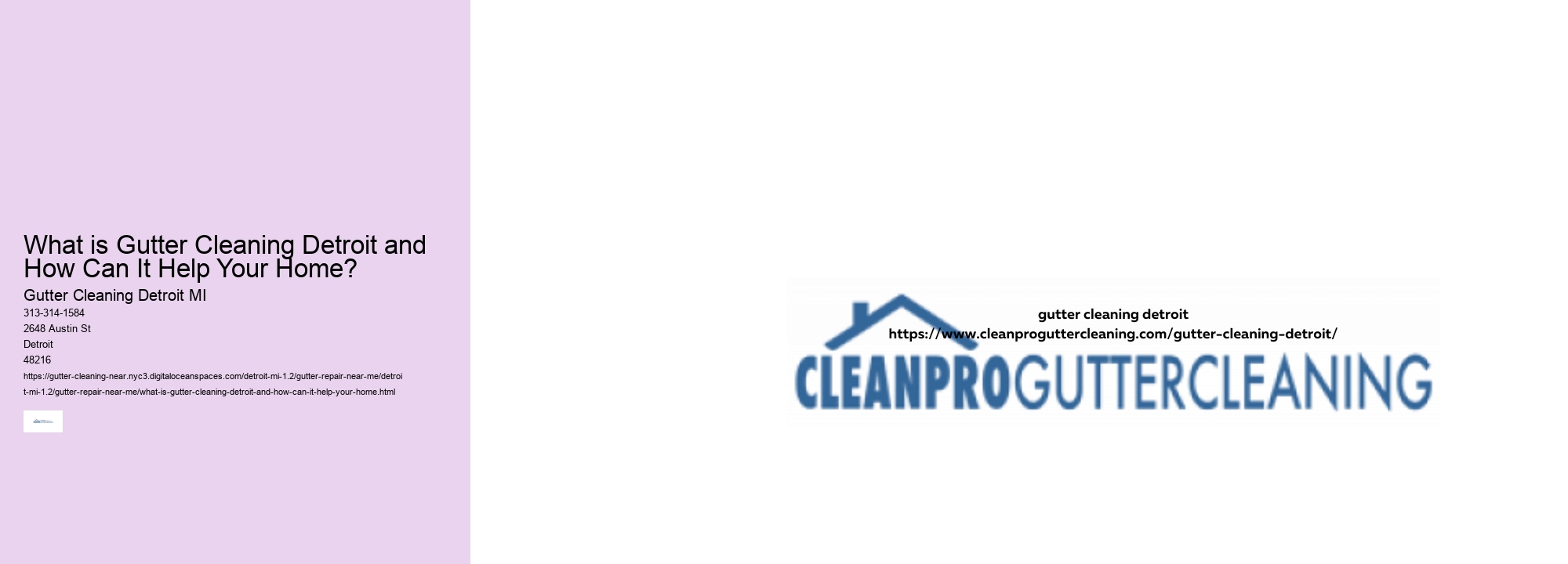What is Gutter Cleaning Detroit and How Can It Help Your Home? 
