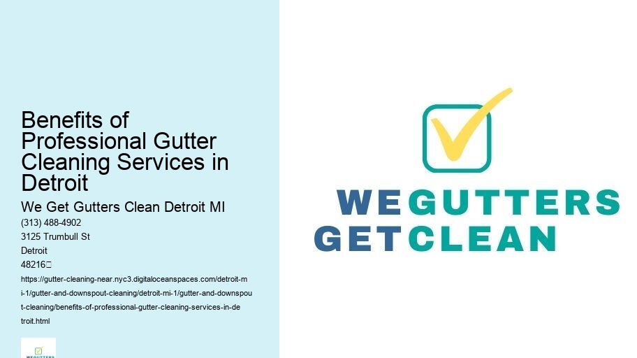 Benefits of Professional Gutter Cleaning Services in Detroit