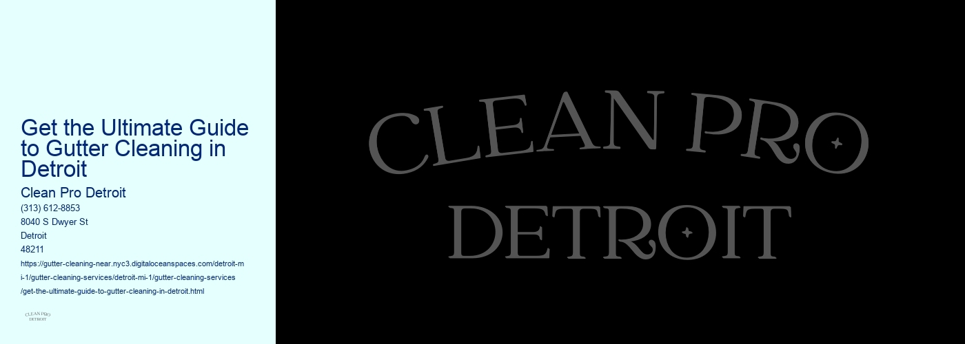 Get the Ultimate Guide to Gutter Cleaning in Detroit