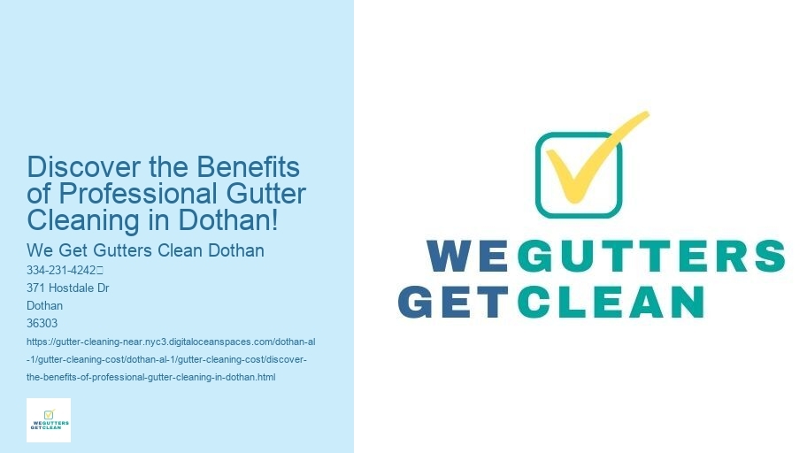 Discover the Benefits of Professional Gutter Cleaning in Dothan!