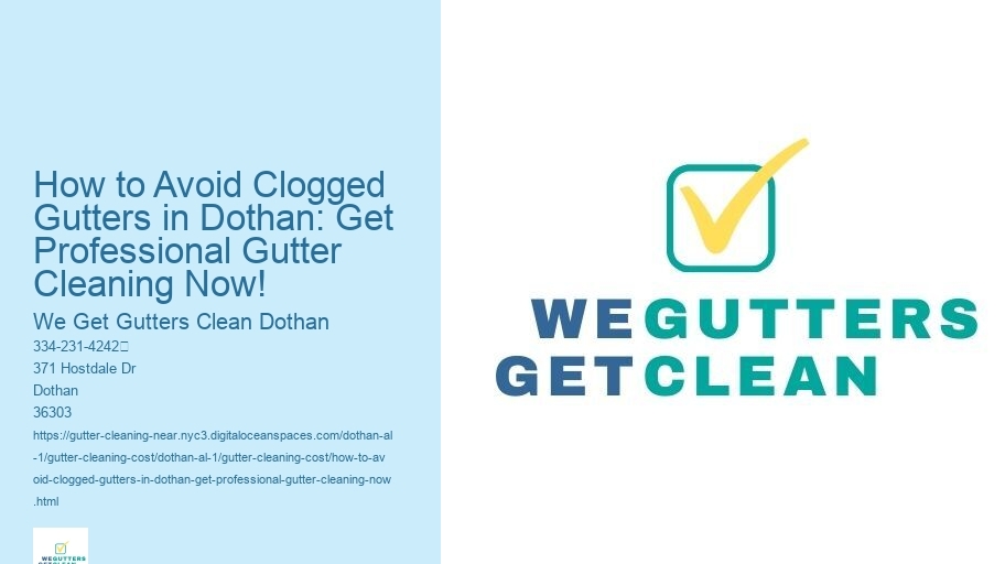 How to Avoid Clogged Gutters in Dothan: Get Professional Gutter Cleaning Now!