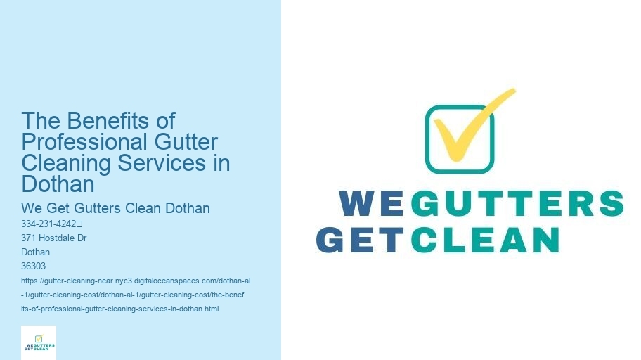 The Benefits of Professional Gutter Cleaning Services in Dothan 