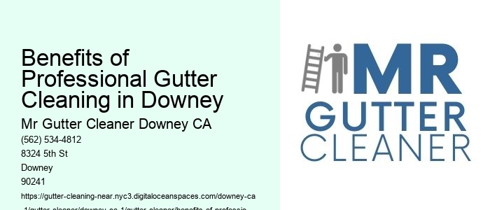Benefits of Professional Gutter Cleaning in Downey 