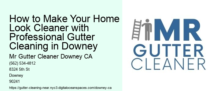 How to Make Your Home Look Cleaner with Professional Gutter Cleaning in Downey