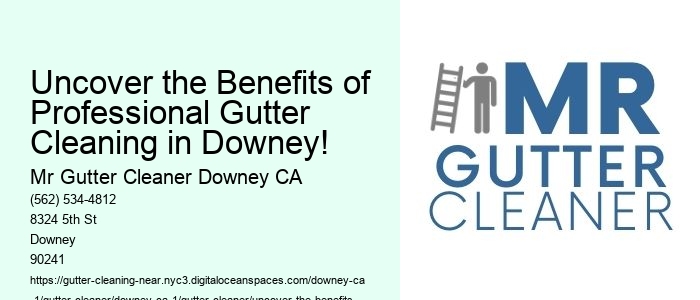 Uncover the Benefits of Professional Gutter Cleaning in Downey!