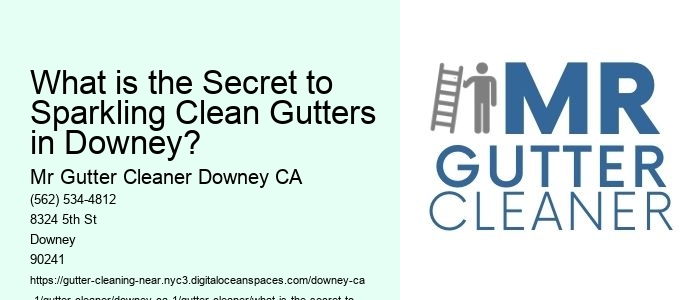 What is the Secret to Sparkling Clean Gutters in Downey? 