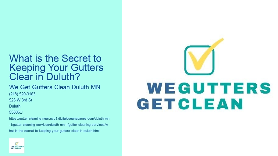 What is the Secret to Keeping Your Gutters Clear in Duluth?