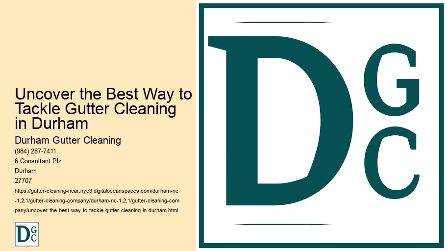 Uncover the Best Way to Tackle Gutter Cleaning in Durham 
