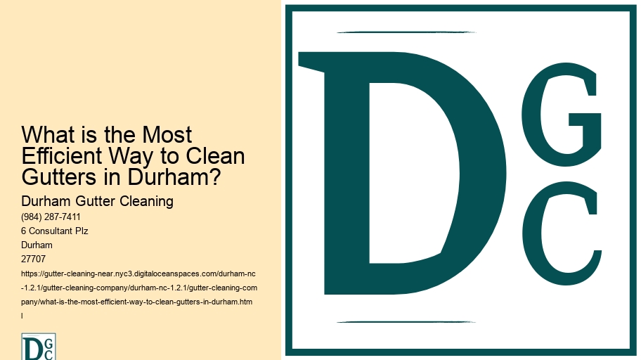 What is the Most Efficient Way to Clean Gutters in Durham? 