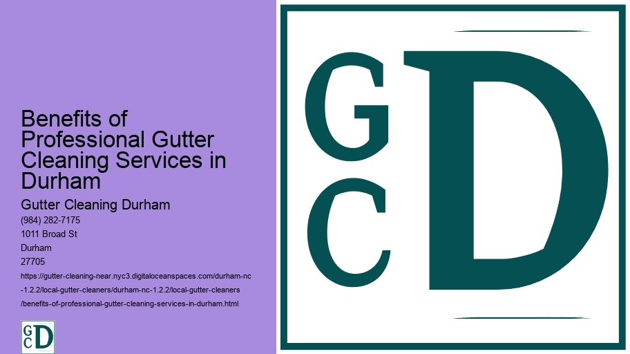 Benefits of Professional Gutter Cleaning Services in Durham 