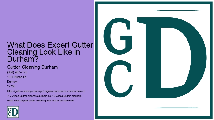 What Does Expert Gutter Cleaning Look Like in Durham?