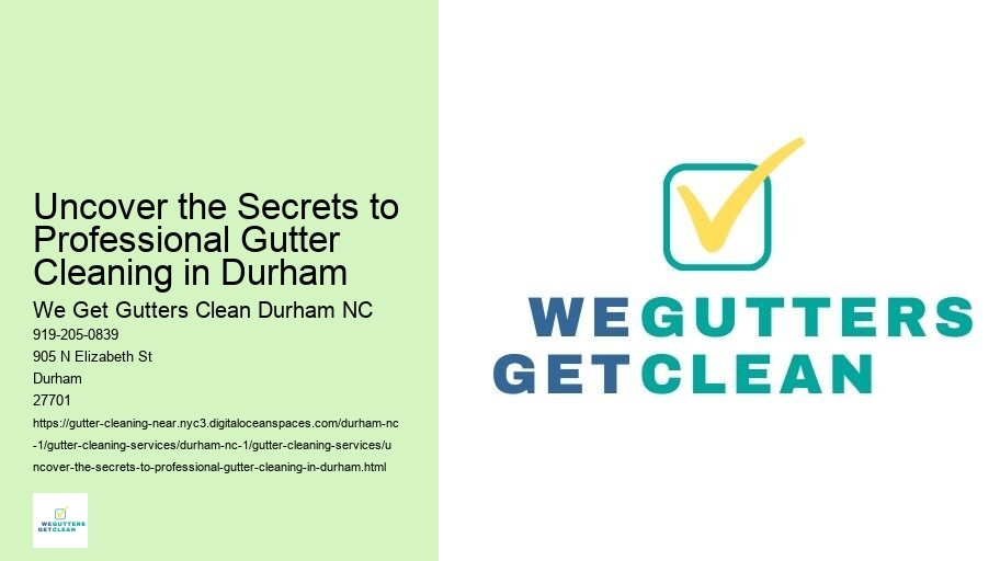 Uncover the Secrets to Professional Gutter Cleaning in Durham
