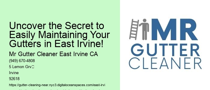 Uncover the Secret to Easily Maintaining Your Gutters in East Irvine!