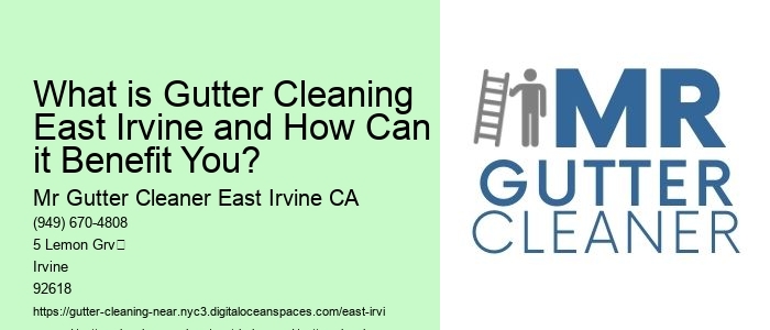 What is Gutter Cleaning East Irvine and How Can it Benefit You? 