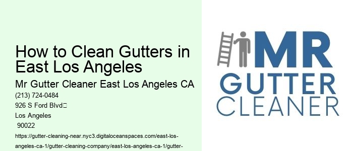 How to Clean Gutters in East Los Angeles 