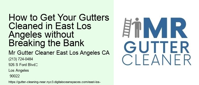 How to Get Your Gutters Cleaned in East Los Angeles without Breaking the Bank 