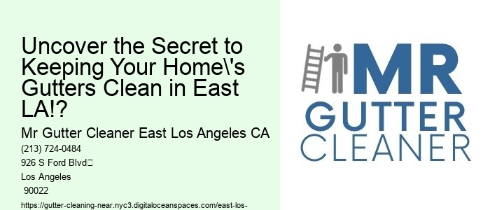 Uncover the Secret to Keeping Your Home's Gutters Clean in East LA!?