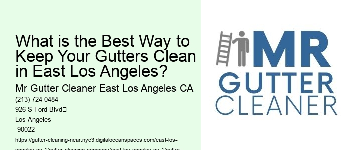 What is the Best Way to Keep Your Gutters Clean in East Los Angeles? 