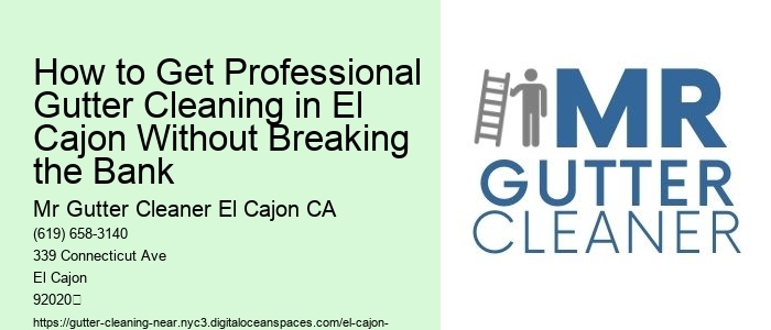How to Get Professional Gutter Cleaning in El Cajon Without Breaking the Bank 