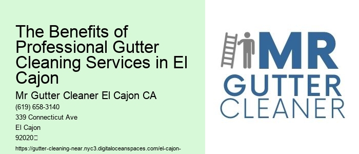 The Benefits of Professional Gutter Cleaning Services in El Cajon 