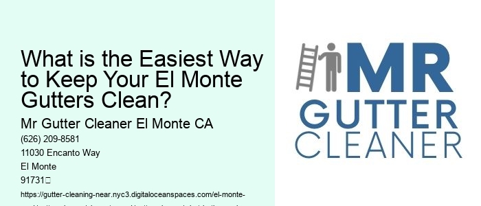 What is the Easiest Way to Keep Your El Monte Gutters Clean? 