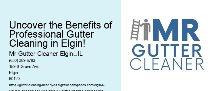 Uncover the Benefits of Professional Gutter Cleaning in Elgin!