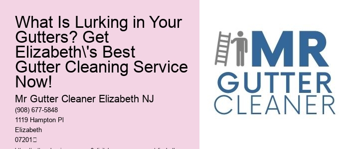 What Is Lurking in Your Gutters? Get Elizabeth's Best Gutter Cleaning Service Now!