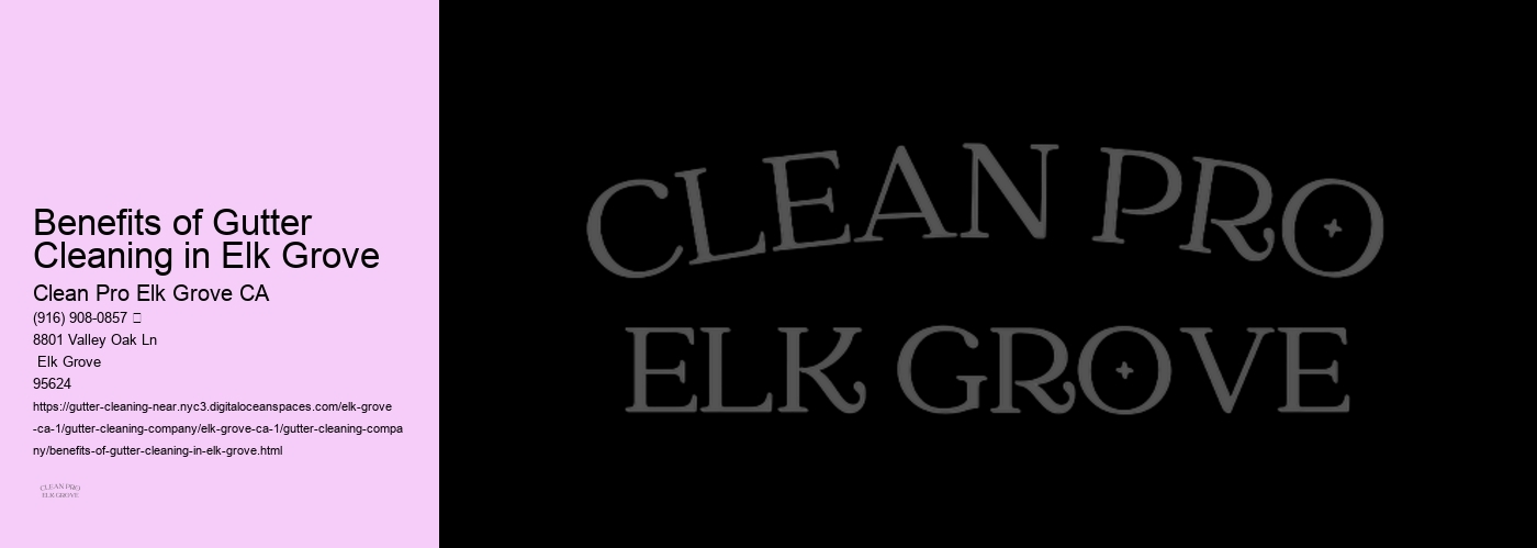 Benefits of Gutter Cleaning in Elk Grove 