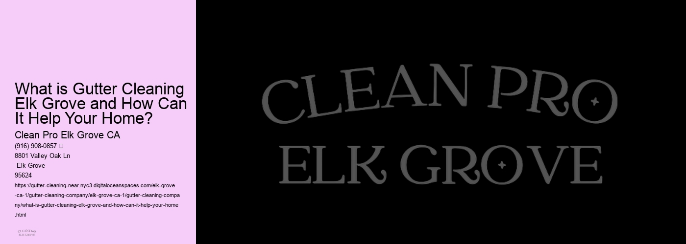 What is Gutter Cleaning Elk Grove and How Can It Help Your Home? 